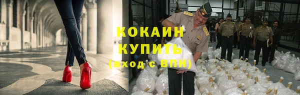 круглые Корсаков