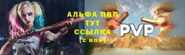 дурь Переславль-Залесский