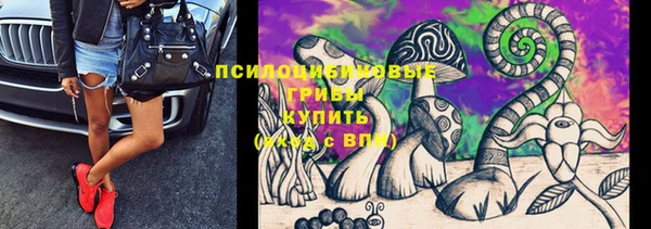 мяу мяу мука Пересвет
