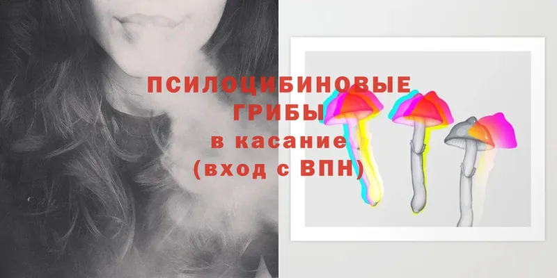 Псилоцибиновые грибы Magic Shrooms  закладка  Красный Кут 